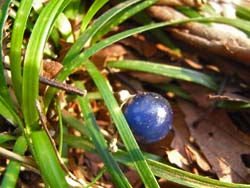 08_0112_janohige1.jpg