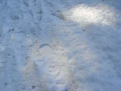 08_0207_snow4.jpg