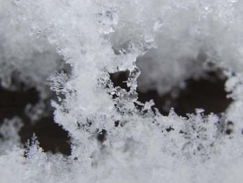 08_0207_snowflakes.jpg