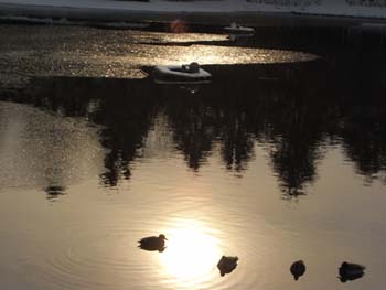 08_0211_pond.jpg