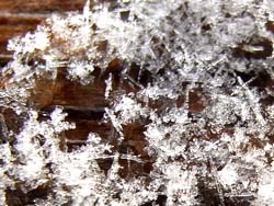 08_0211_snowflakes.jpg