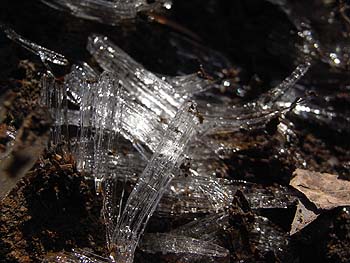 08_0215_simobasira.jpg