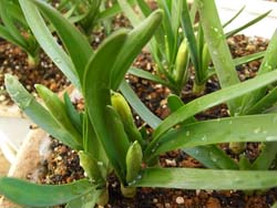 08_0221_teta-teta3.jpg