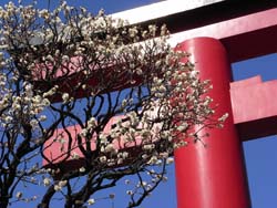 08_0222_tenjin_sama.jpg
