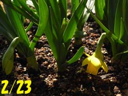 08_0305_teteatete2.jpg