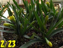 08_0305_teteatete3.jpg