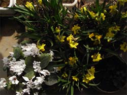 08_0305_teteatete5.jpg
