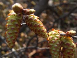 08_0329_inuside02.jpg