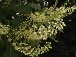 08_0629_ryoubu05.jpg