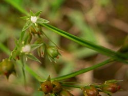 08_0715_kusai4.jpg