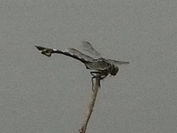 08_0731_utiwa_y3.jpg
