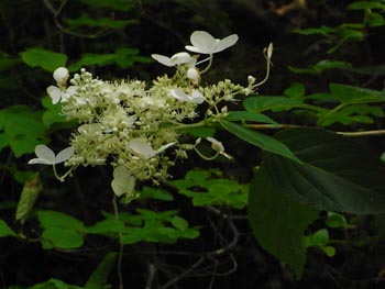 08_0821_noriutugi2.jpg