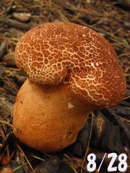 08_0902_nou_take2.jpg