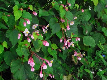 08_0908_shukaido1.jpg