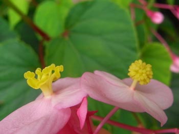 08_0921_shukaido3.jpg