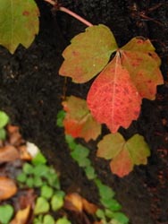 08_1002_tuta.jpg