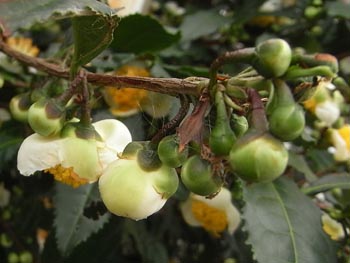 08_1014_cha2.jpg