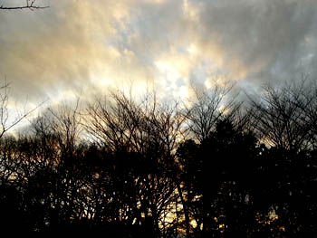 09_0108_sunset.jpg