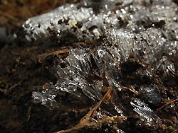 09_0113_simobasira.jpg