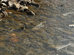 09_0117_ice02.jpg