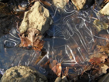 09_0117_ice09.jpg