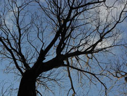 09_0201_uwamizu1.jpg