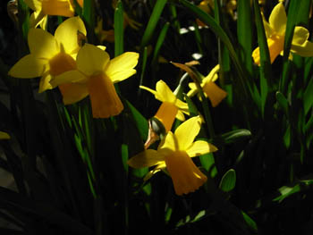 09_0316_tete_a_tete3.jpg