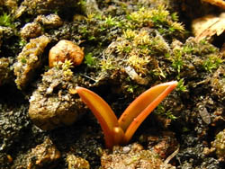 09_0404_turubo.jpg