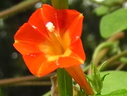 09_0810_m_rukouso05.jpg