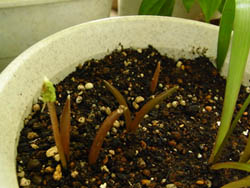 09_0905_turubo08.jpg