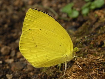 09_0916_kicho1.jpg