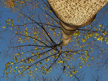 09_1126_iigiri2.jpg