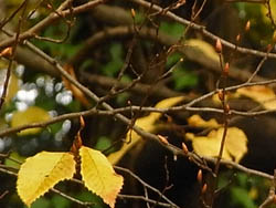 09_1206_inuside.jpg
