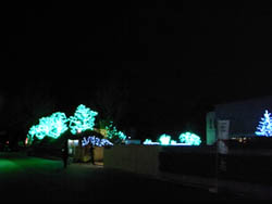 09_1220_illumination05.jpg