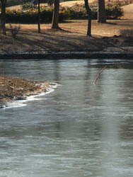 10_0115_ice1.jpg