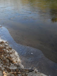 10_0115_ice4.jpg