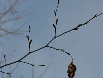 10_0203_kumaside1.jpg
