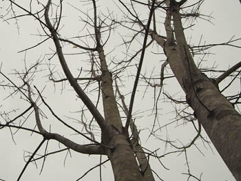 10_0217_satou_k1.jpg