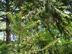 10_0505_doitu_tohi1.jpg