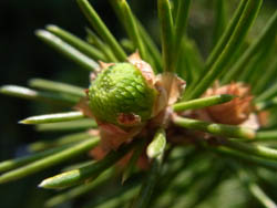 10_0505_doitu_tohi3.jpg