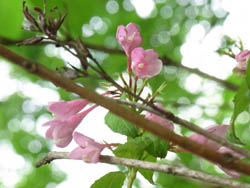 10_0530_tani_u1.jpg