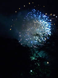 10_0728_hanabi08.jpg