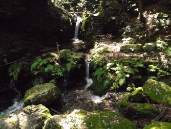 10_0805_sawa1.jpg