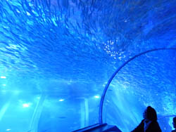 10_1104_hakkei_jima09.jpg