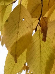10_1124_inuside2.jpg