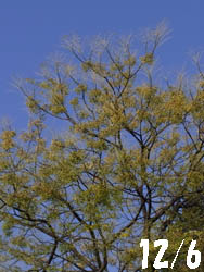 10_1212_sendan1.jpg