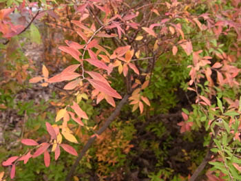 10_1224_yukiyanagi1.jpg