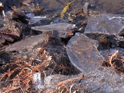 10_1226_ice2.jpg
