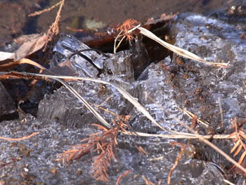 10_1226_ice3.jpg