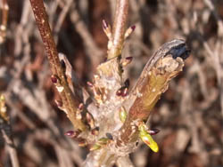 10_1226_rengyo1.jpg